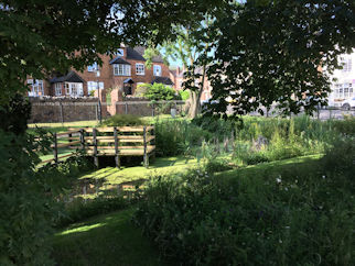 The Horsepool July 2019